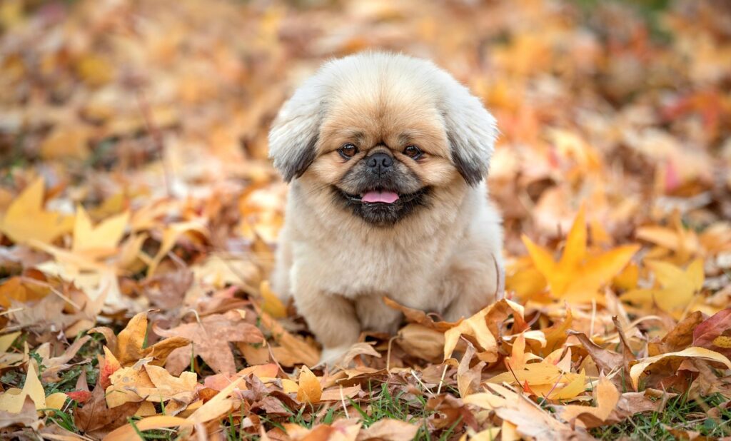 おならの臭いを改善するためにおすすめの食事は？