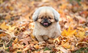 失恋からの立ち直り方にはどんな方法がある？