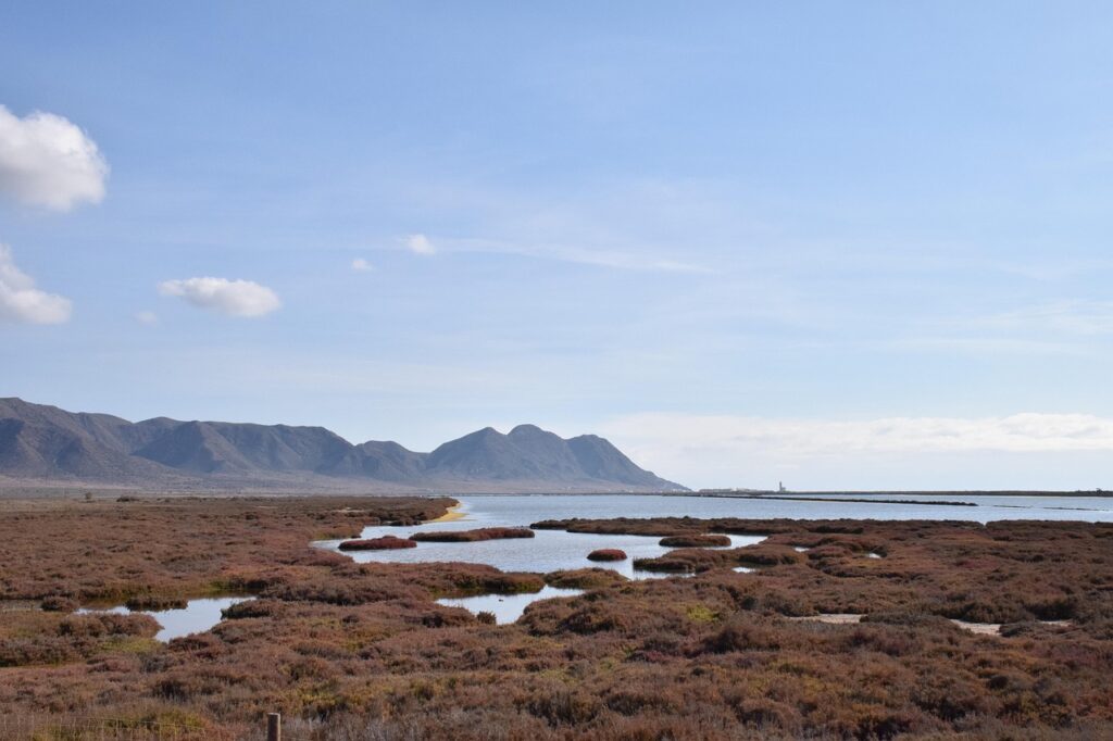 生理を早める方法は本当に効果的なのか？