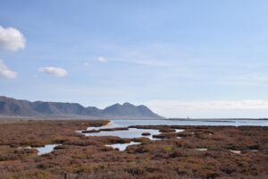 生理を早める方法は本当に効果的なのか？