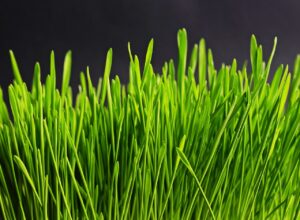 彼氏からの連絡が減ったときに感じる不安を解消する方法は？