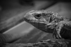 胸を大きくする方法にはどんなものがある？