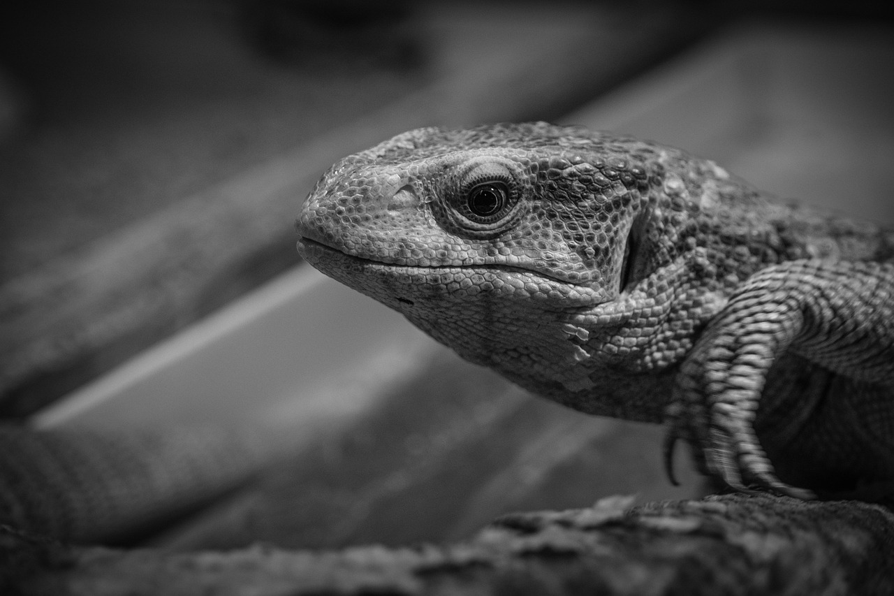 胸を大きくする方法にはどんなものがある？