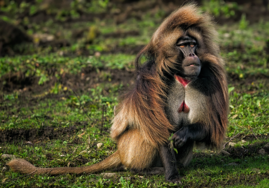 セックス後の出血の原因は何ですか？