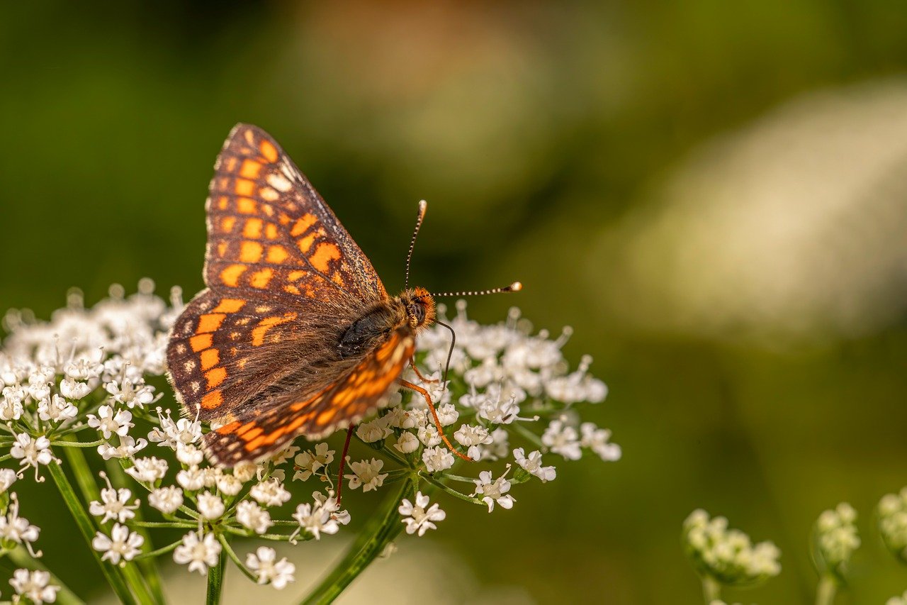 デリケートゾーンのかゆみがひどい時の対処法は？