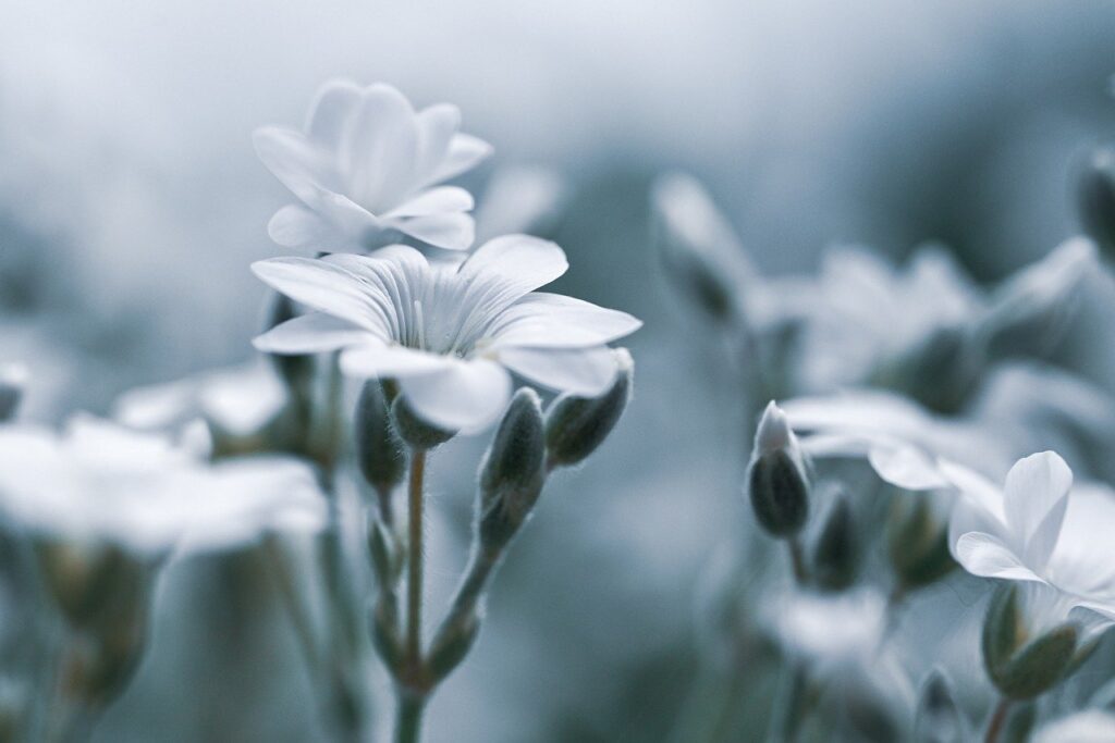 デリケートゾーンの汗や匂いの対策にはどんな方法がある？