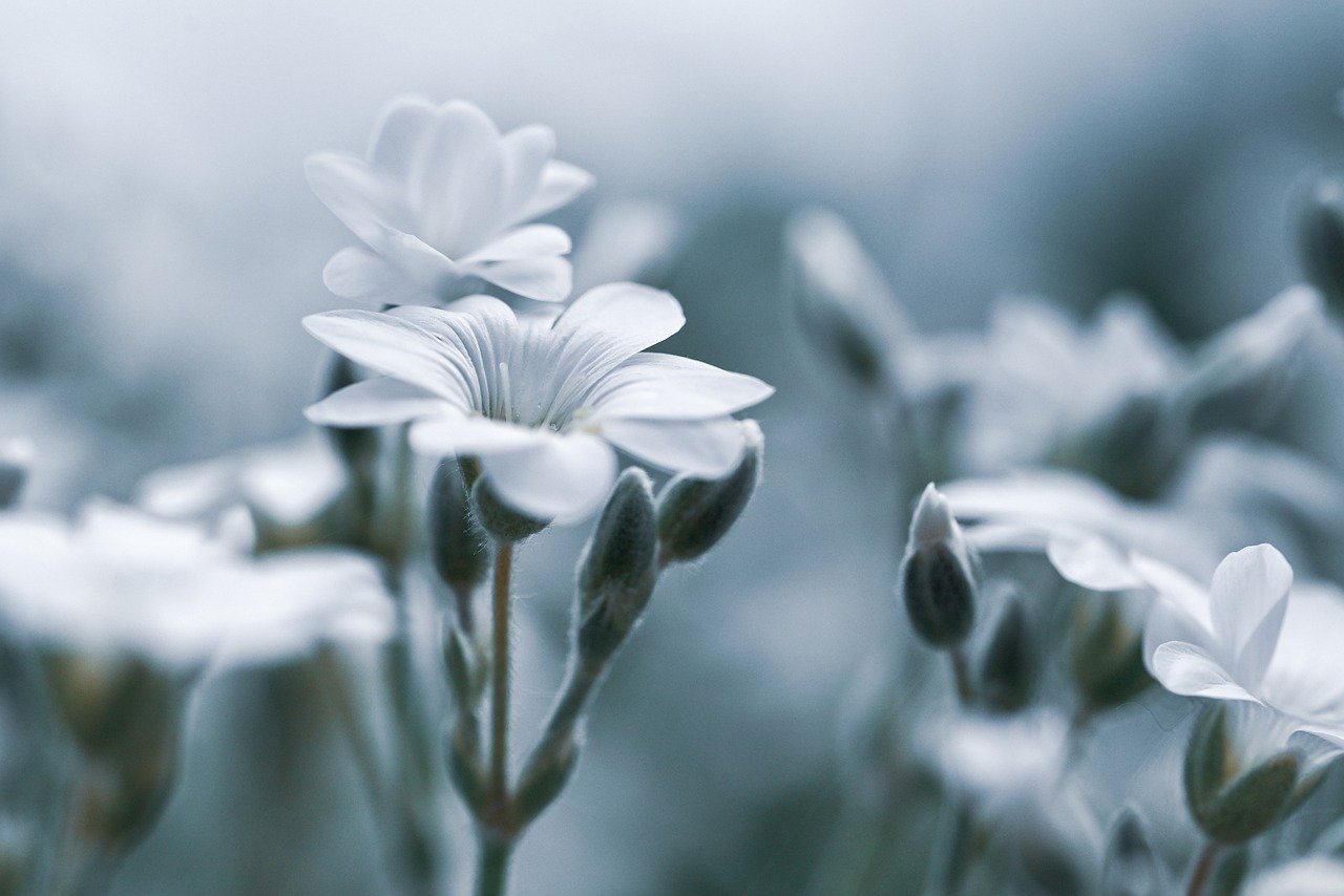 デリケートゾーンの汗や匂いの対策にはどんな方法がある？