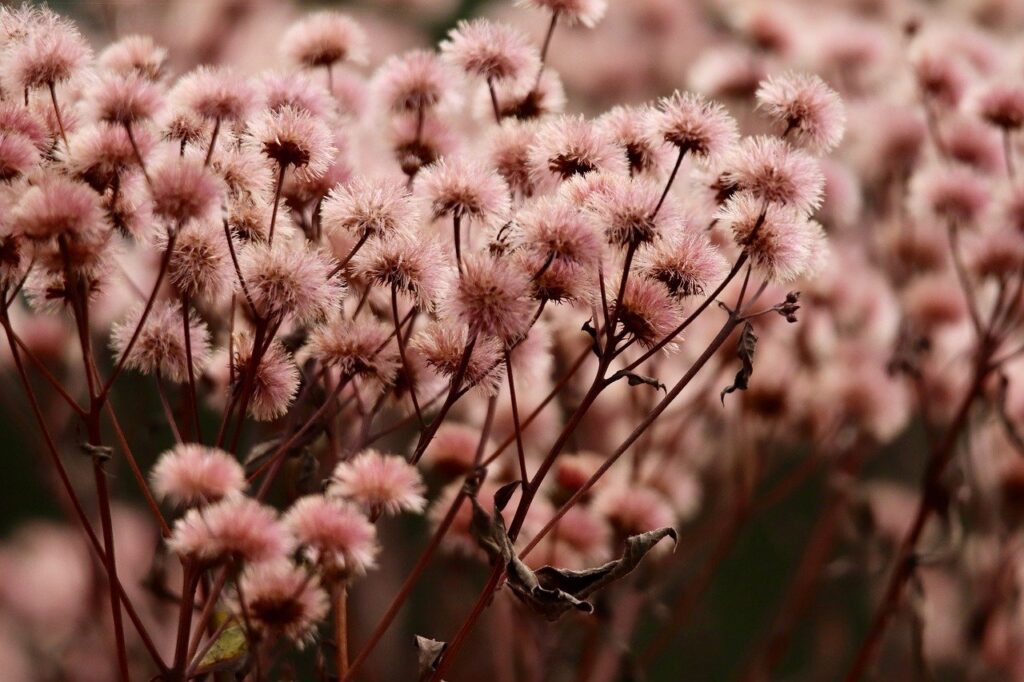 デリケートゾーンの乾燥対策に最適な冬のケア方法は？