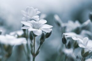 デリケートゾーンに優しい下着の素材おすすめは？