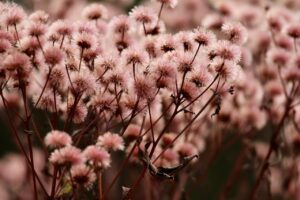 デリケートゾーンの感染を防ぐためにパートナーと知っておくべきことは？