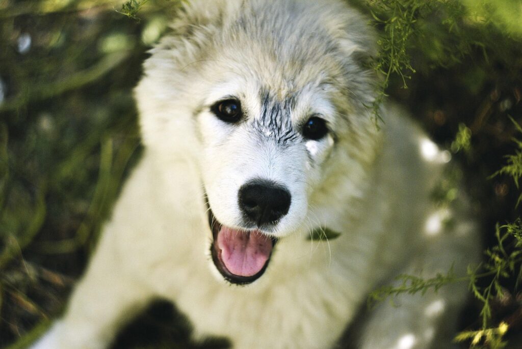 デリケートゾーン脱毛のトラブルに対処する方法は？