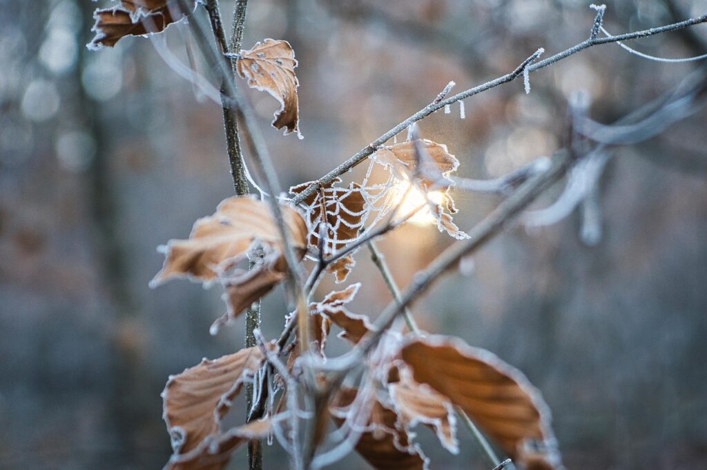 デリケートゾーンが冬に乾燥してひどい場合の対策は？