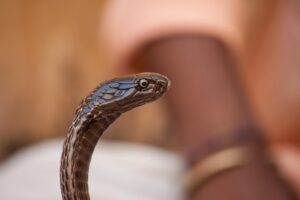 フェムケアソープの使いすぎによる症状とは？