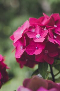 おりものシートの蒸れ対策に最適な選び方は？