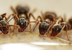 吸水ショーツを使った外出時の長時間使用に関する不安を解消する方法は？