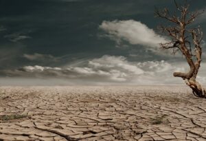 陰部のヒリヒリとムレ、乾燥のどっちが原因なの？