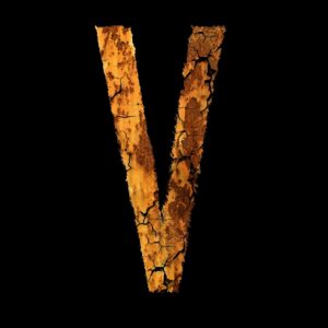 Vラインのかゆみを軽減するためのシェーバー比較は？