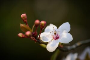デリケート悩みの料金相場はどれくらいが妥当？