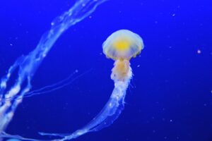 潤滑ゼリーの水溶性とシリコンの違いは何？